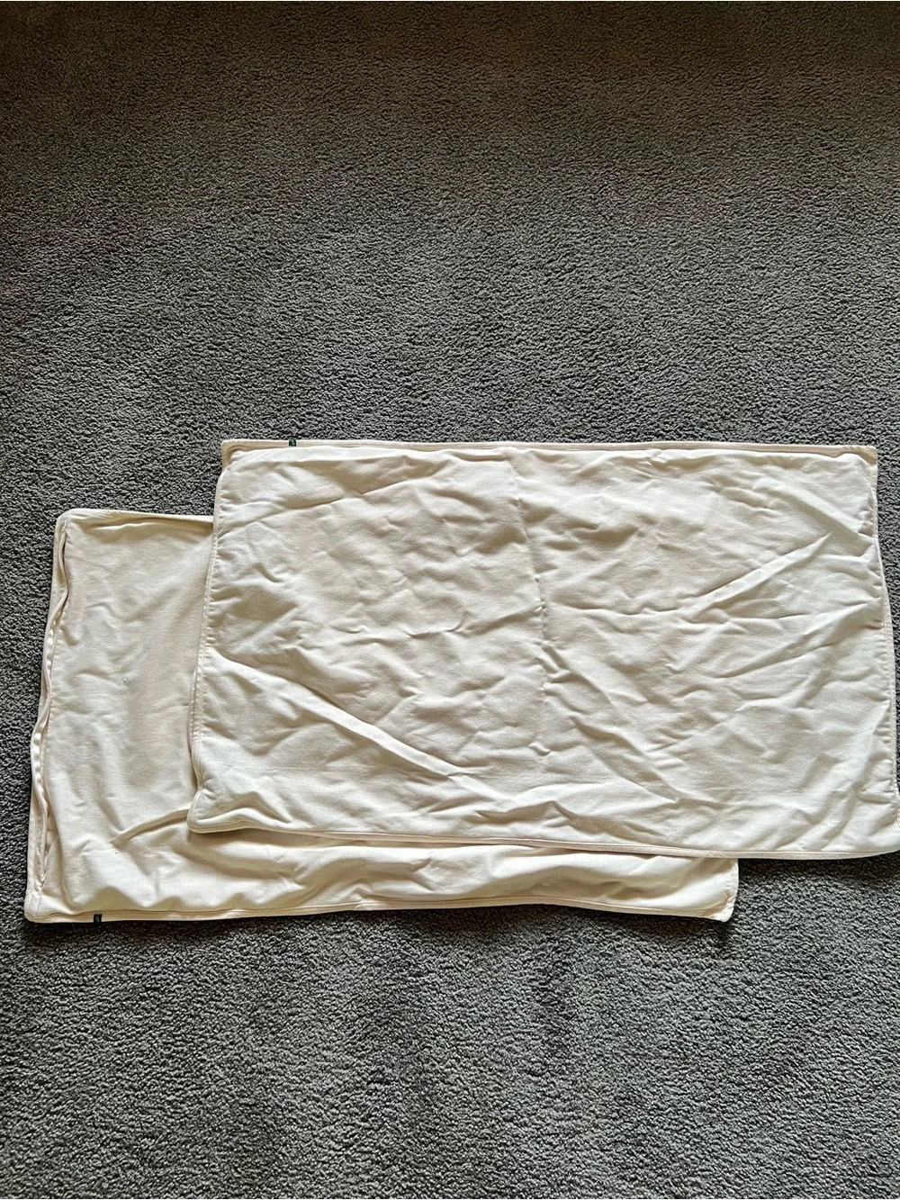 2 Pillow protectors